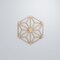 Ekena Millwork Medium Hampton Decorative Fretwork Wood Wall Panels, Alder, 15 3/8"W x 17 3/4"H x 3/8"T WALW16X16X0375HMPAL - alternate 2